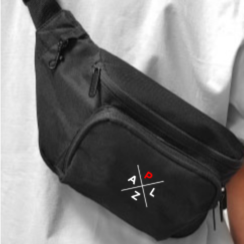 PALZ Schulter/ -Bauchtasche tasche mit gestickten Markenlogo