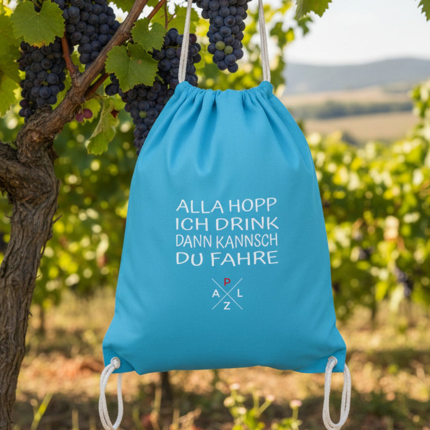 PALZ ALLA HOPP Baumwollsack hellblau