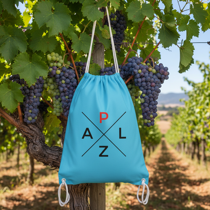 PALZ Gymbag surfblue