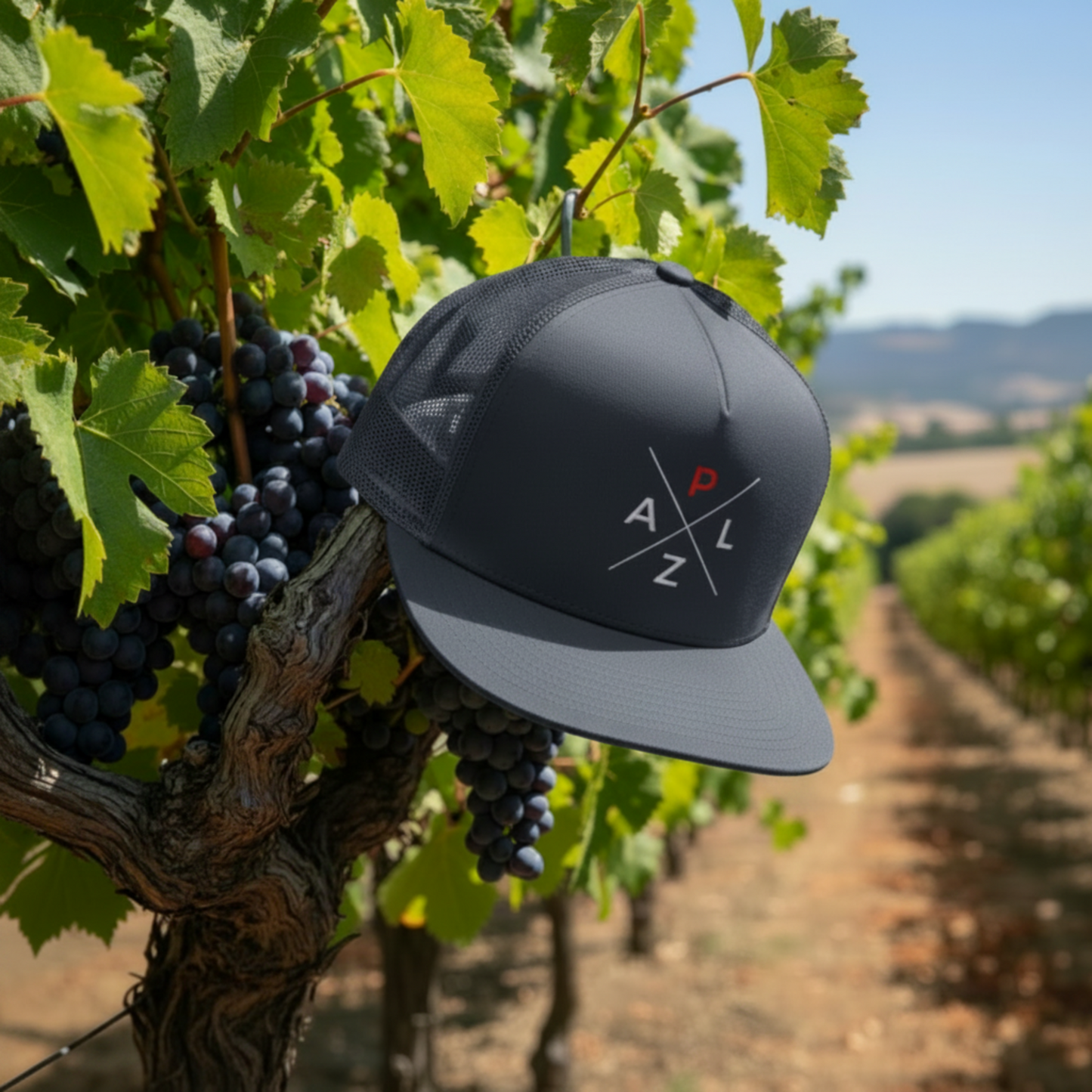 palz-trucker_premium_navi